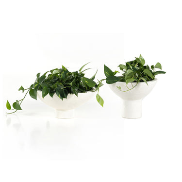 Pala Planter Set